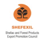 xr:d:DAF9nS19Il8:3,j:3687741786918508604,t:24022313